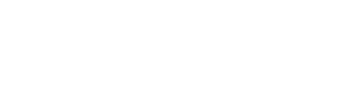 transdev